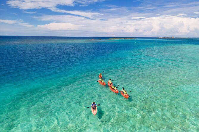 Aruba Kayak Explorers - The Real Value: Why This Tour Stands Out
