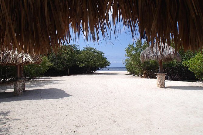 Aruba Mangel Halto and Baby Beach Snorkeling Guided Tour - Who Will Love This Tour?