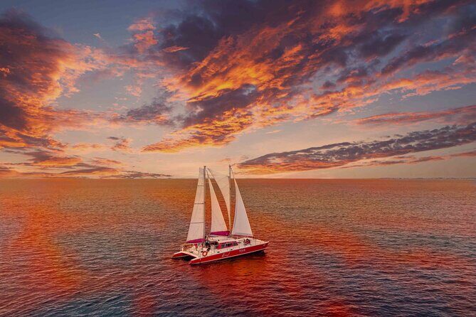 Aruba Morning Snorkeling or Sunset Sail to Boca Catalina With BBQ - A Detailed Look at What to Expect from the Aruba Snorkeling and Sunset Sail Tour