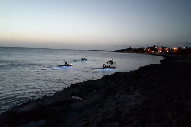 Aruba Night Glass Kayak Tour - Key Points