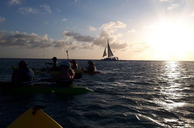 Aruba Night Glass Kayak Tour - The Sum Up
