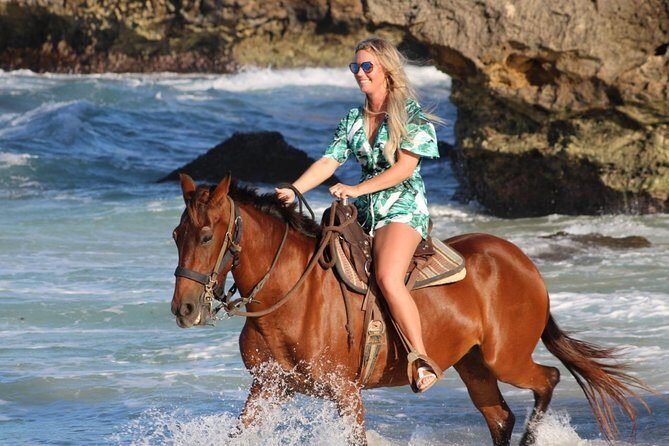 Aruba North Coastline: Small-Group Horseback Riding Tour - Experience Aruba’s North Coast on Horseback: A Small-Group Adventure