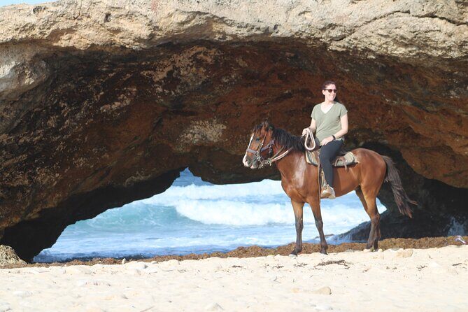 Aruba North Coastline: Small-Group Horseback Riding Tour - The Sum Up: Who Should Consider This Tour?