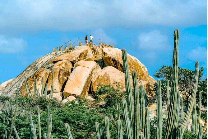 Aruba Northcoast UTV Afternoon Tour - Authentic Insights from Reviewers