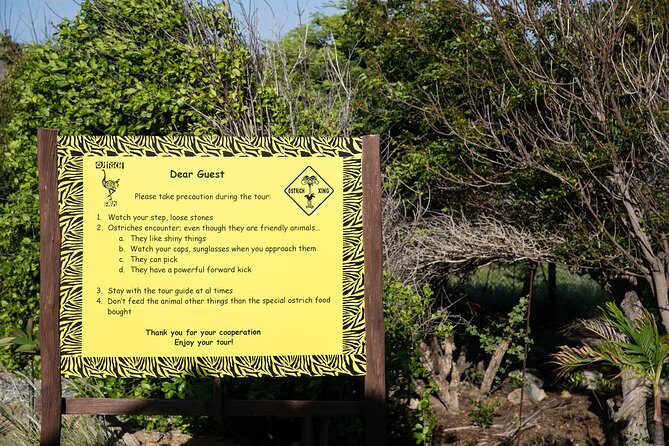 Aruba Ostrich Farm Tour with Lunch - Final Thoughts