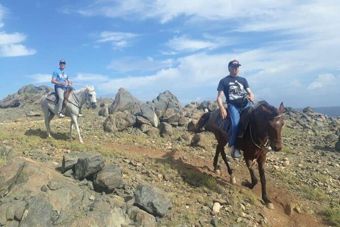 Aruba Private, 2 Hour Horseback Riding Tour For Advanced Riders - Final Thoughts: Is It Worth It?