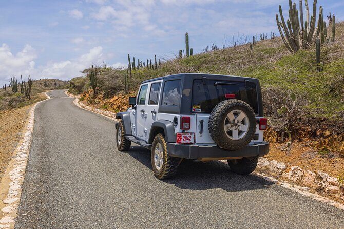 Aruba Private Jeep Tours With Exciting Attractions - Who Will Love This Tour?