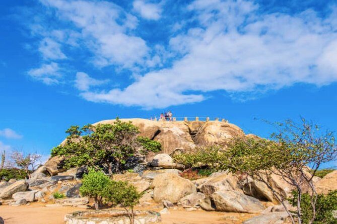 Aruba Shore Excursion: The Highlights and Delights Tour - In-Depth Review of the Aruba Highlights and Delights Tour