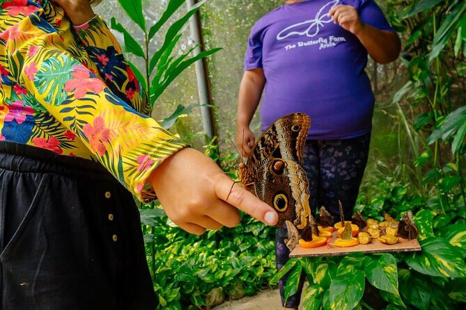 Aruba Sightseeing Tour with Transport - Frequently Asked Questions