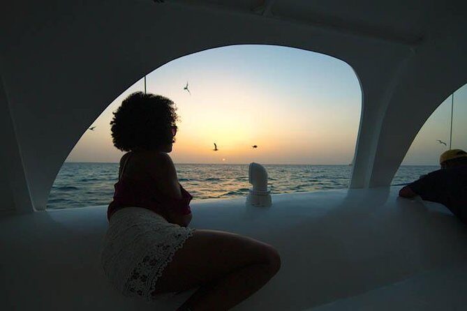 Aruba Sunset Sail Cruise Aboard The Dolphin Catamaran - Practical Tips Before You Go