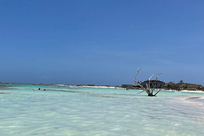 Aruban Local Lunch and Baby Beach Snorkeling - What to Expect: A Step-by-Step Breakdown