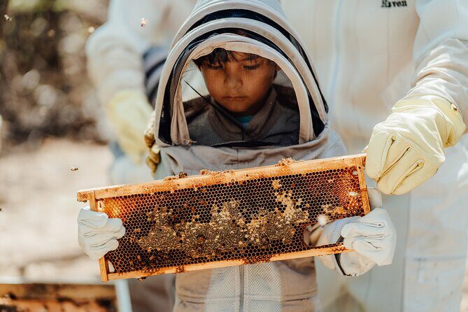 Aruba´s Bee Haven Private Adventure - Key Points