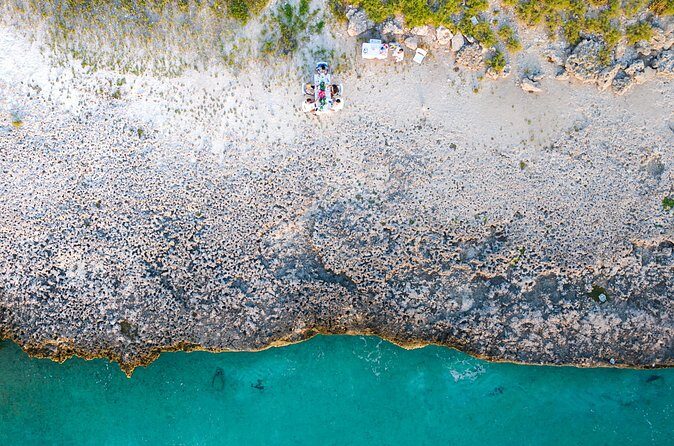 Aruba's Finest Sip and Paint Experience by the Beach - Who Should Consider This Tour?