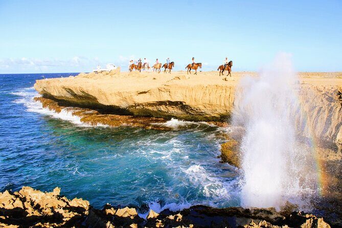 Aruba's Northern Coast Horseback Adventure - Final thoughts