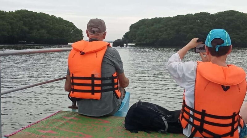 Arugam Bay: Lagoon Boat safari with Safety Measures - A Close Look at the Lagoon Safari Experience