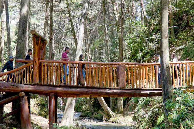 Arvi Park, Cable Car and Water Streams Medellín Tour - Who Will Love This Tour?