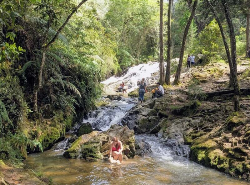 Arvi Park Walking tour and city views from Metrocable. - A Deep Dive into the Experience: What to Expect from Start to Finish