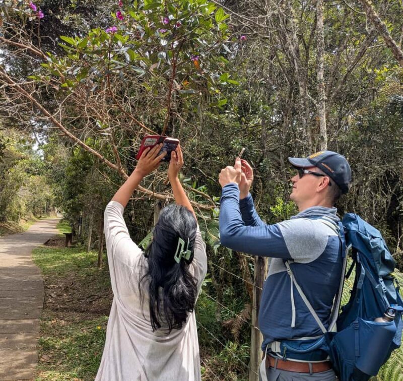 Arvi Park Walking tour and city views from Metrocable. - A Closer Look at the Itinerary and Highlights