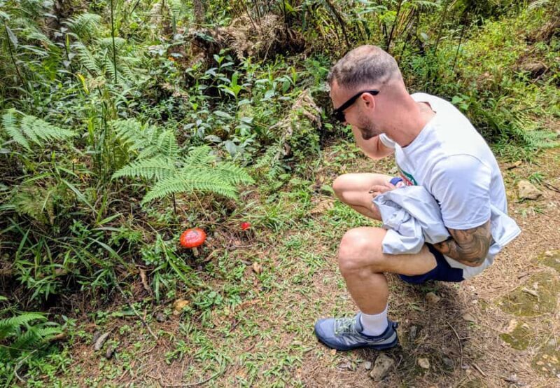 Arvi Park Walking tour and city views from Metrocable. - Authenticity and Travel Value: Why This Tour Works