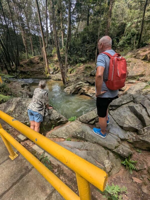 Arvi Park Walking tour and city views from Metrocable. - Final Thoughts