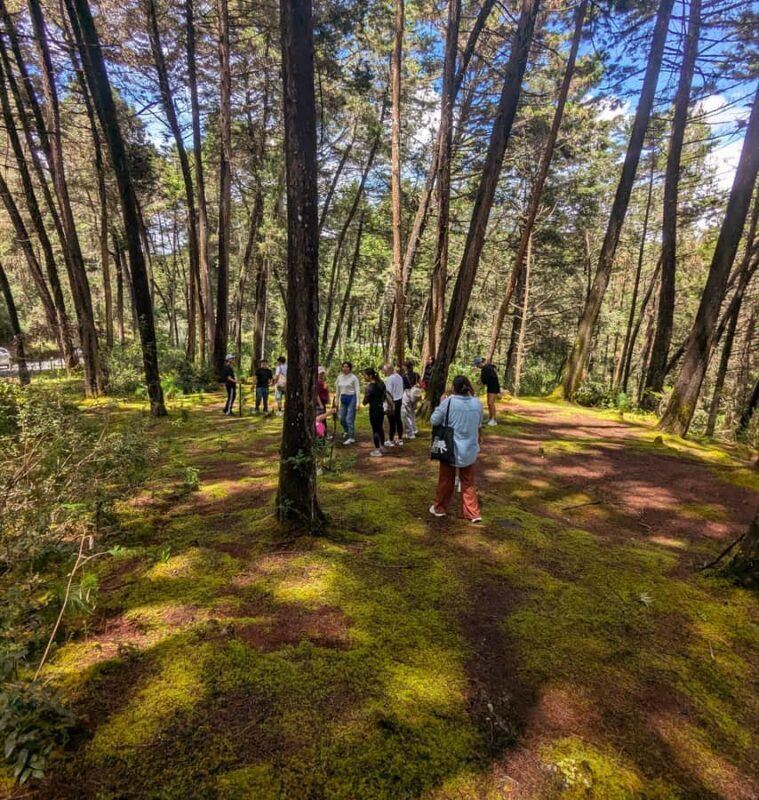 Arvi Park Walking tour and city views from Metrocable. - FAQ