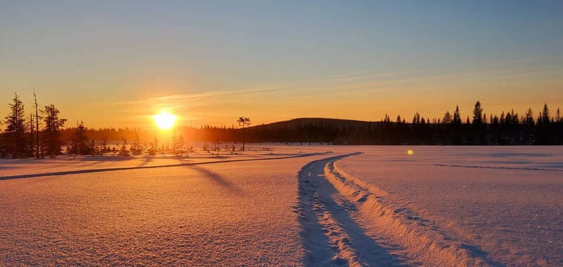 Arvidsjaur: 2-hour snowmobile tour in Swedish Lapland - Is This Tour Right for You?