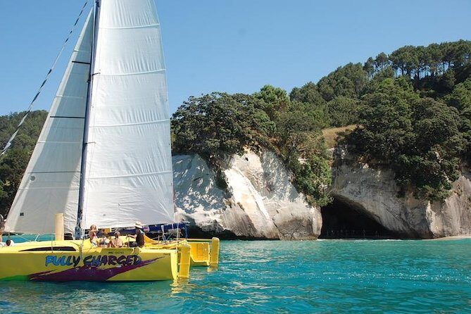 Arvo of goodness Chilled out Sail (3.5hrs) - A Deep Dive into the Arvo of Goodness Chilled Out Sail Experience