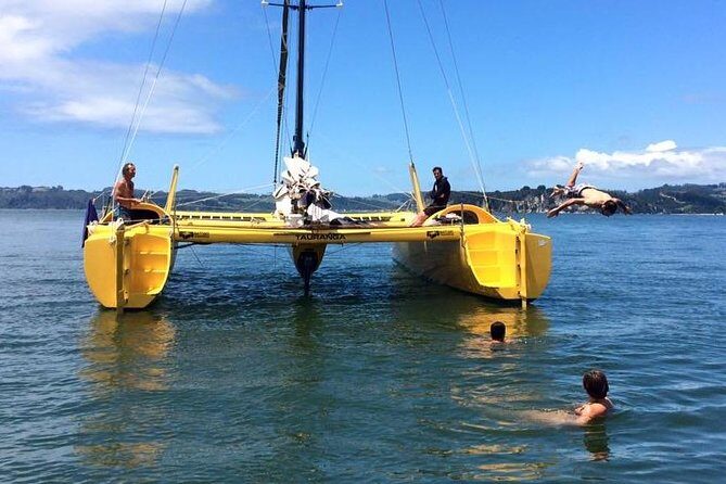 Arvo of goodness Chilled out Sail (3.5hrs) - Final Thoughts: Is This Tour Right for You?