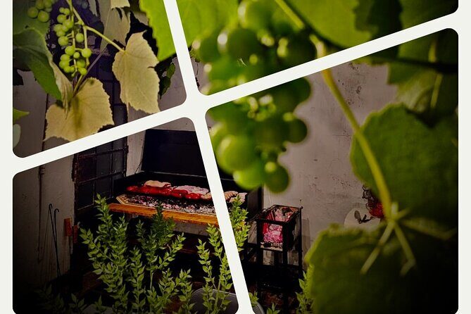 Asado and Malbec Grilling Activity - Key Points