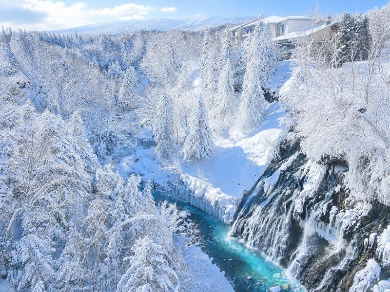 Asahiyama Zoo & Biei Blue Pond & Shirogane Falls or Farm Tomita Day Trip (Departing from Sapporo, Hokkaido, includes original souvenir) - Why this route works from Sapporo