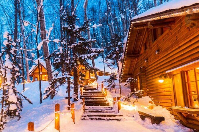 Asahiyama Zoo, Christmas Tree, Fairy Terrace Day Tour | Hokkaido - The Sum Up: Is This Tour Worth It?