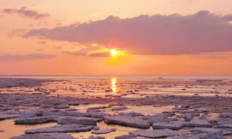 Asahiyama Zoo & Frozen Ice Sea Sunset Cruise Day Trip from Sapporo - Leaving Sapporo before breakfast