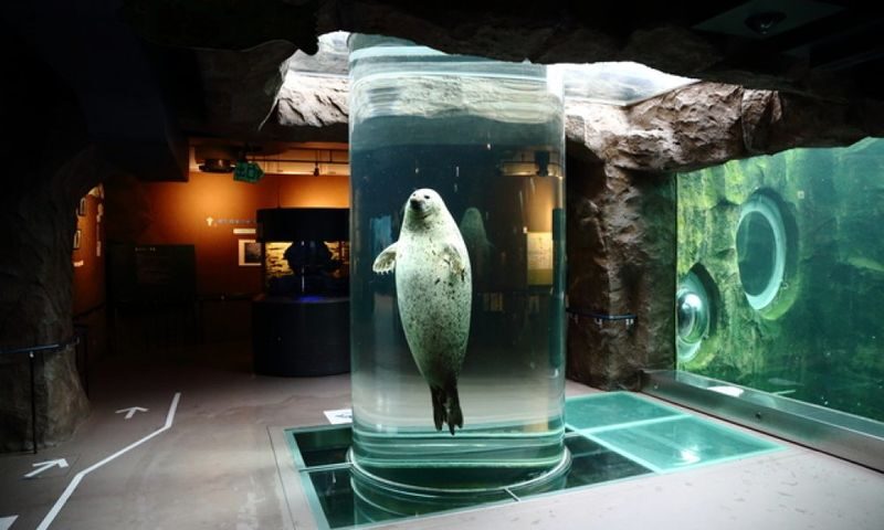 Asahiyama Zoo & Frozen Ice Sea Sunset Cruise Day Trip from Sapporo - Is the price worth it?