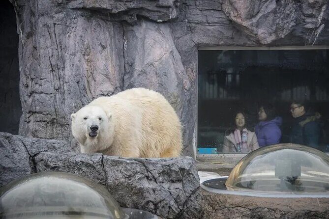 Asahiyama Zoo One-Day Tour - Quick Overview