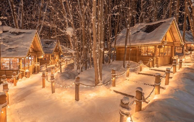 Asahiyama Zoo Penguin Walk & Forest Elf Terrace Night Tour - Why the penguin walk is the draw