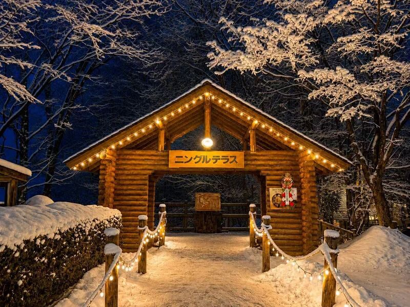 Asahiyama Zoo Penguin Walk & Forest Elf Terrace Night Tour - A night among Ningle Terrace’s cabins