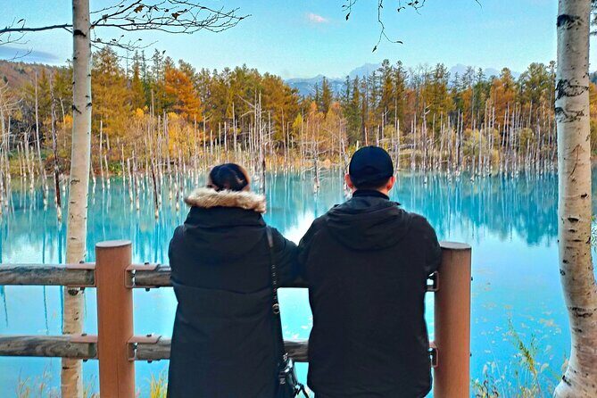 Asahiyama Zoo, Shirahige Falls, Biei, and Blue Pond Day Tour - A Day Exploring Hokkaidos Natural Wonders and Unique Wildlife