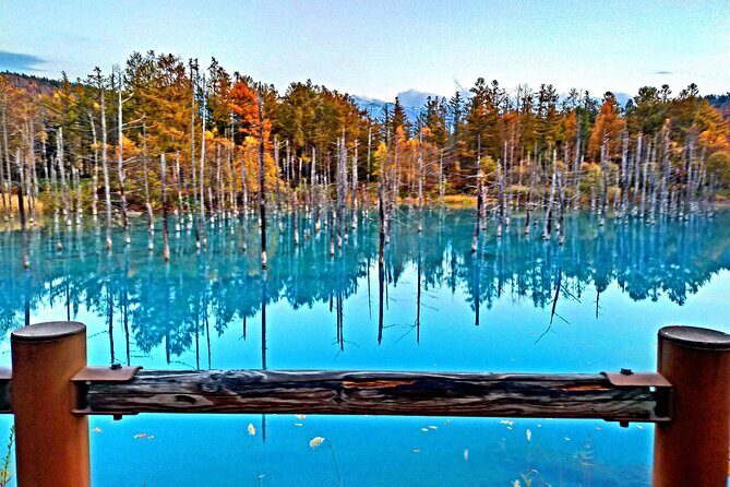 Asahiyama Zoo, Shirahige Falls, Biei, and Blue Pond Day Tour - Practical Details: Transportation, Price, and Flexibility