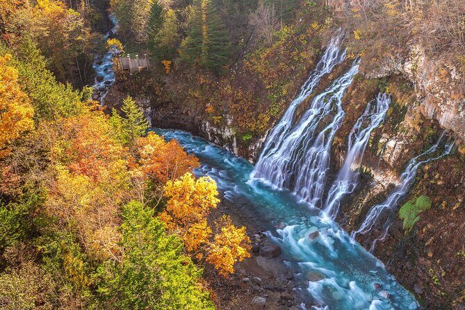 Asahiyama Zoo, Shirahige Falls, Biei, and Blue Pond Day Tour - The Sum Up