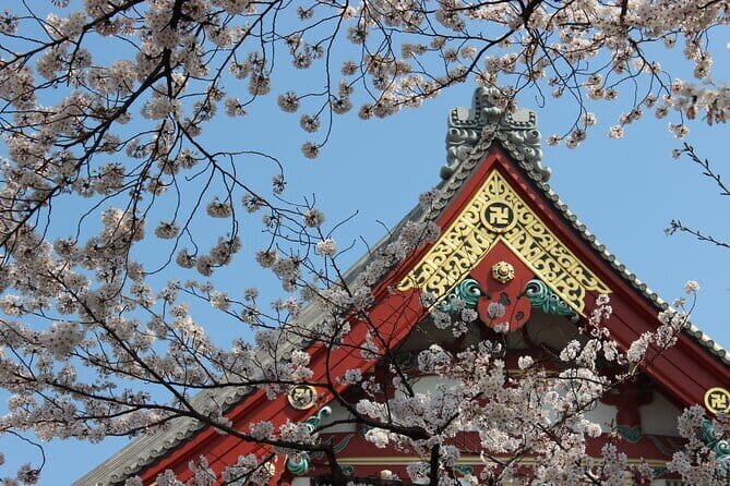 Asakusa: Cherry Blossom Viewing and History Tour - In Closing
