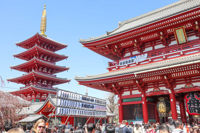 Asakusa Culture & Matcha Making Walking Tour with Lunch - Three hours on foot, with a few limits