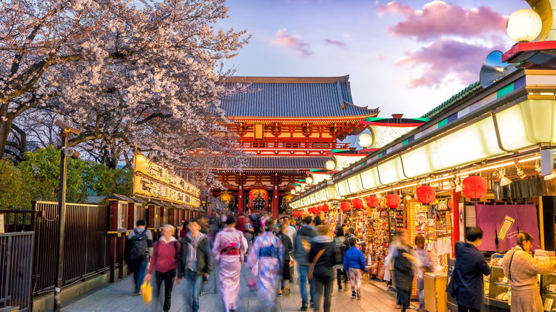 Asakusa, Kappabashi, and Ueno Walking Tour: Experience Tokyos History and Culture in 3 Hours - At a glance