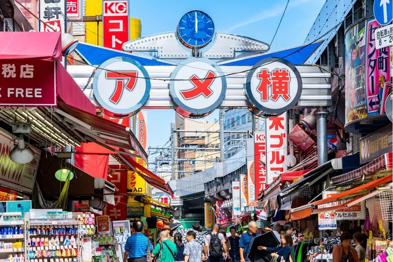 Asakusa, Kappabashi, and Ueno Walking Tour: Experience Tokyos History and Culture in 3 Hours - Practical details before you book