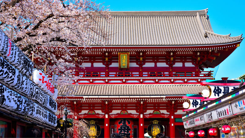 Asakusa, Kappabashi, and Ueno Walking Tour: Experience Tokyos History and Culture in 3 Hours - Should you book this Asakusa to Ueno walk?