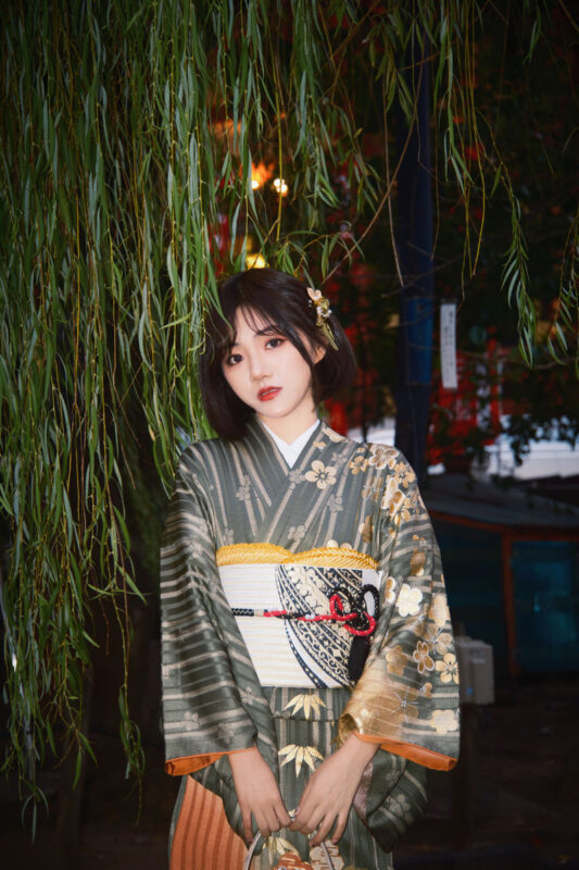 Asakusa Kimono & Furisode Rental Experience (Tokyo / Provided by Wasou Komachi Kanon) - Who will get the most from this Asakusa rental?