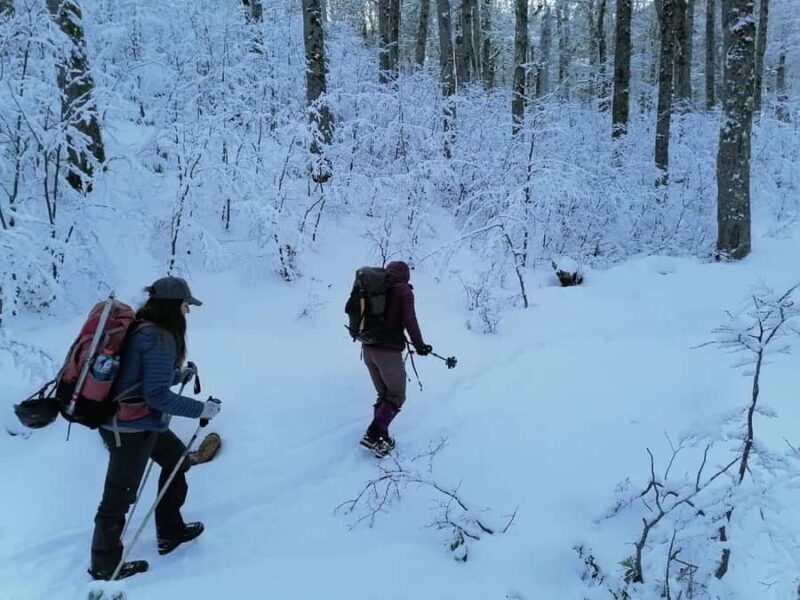 Ascent to Quetrupillán volcano 2370masl, from Pucón - What the Tour Includes and Why It Matters