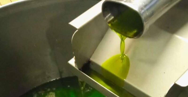Ascoli Piceno: Olive Oil Tasting with local products - A Closer Look at the Olive Oil Tasting Experience in Ascoli Piceno