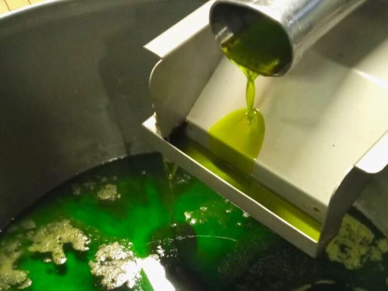 Ascoli Piceno: Olive Oil Tasting with local products - Who Will Love This Experience?