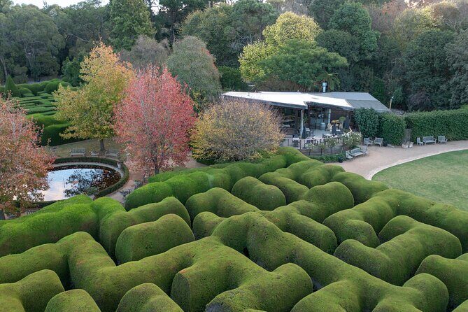 Ashcombe Maze & Lavender Gardens - A Detailed Look at Ashcombe Maze & Lavender Gardens