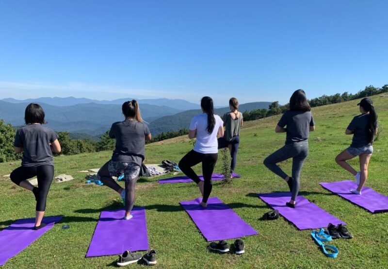 Asheville: Yoga on a Mountain Hike - Authentic Insights from Participants